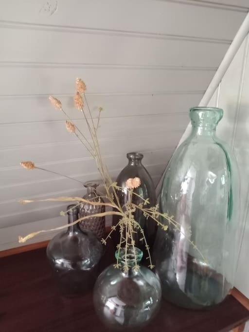 Micro Maison Isba Sedan Givonne Екстериор снимка